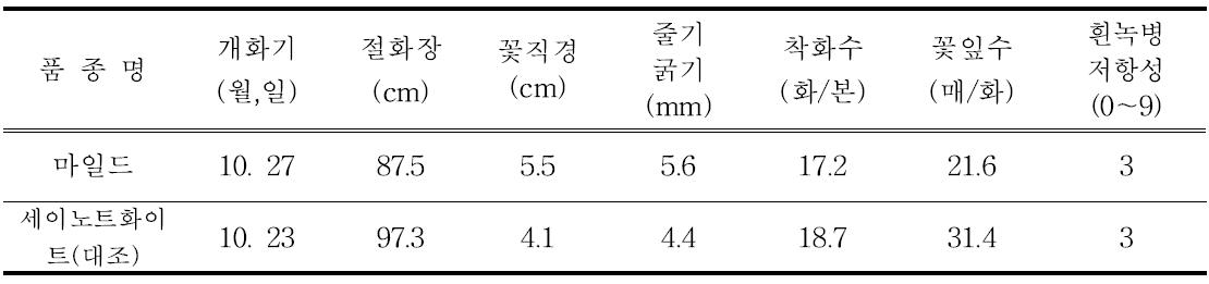 ‘마일드’의 개화특성