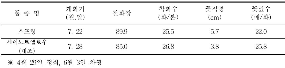 ‘스프링’의 촉성재배 특성