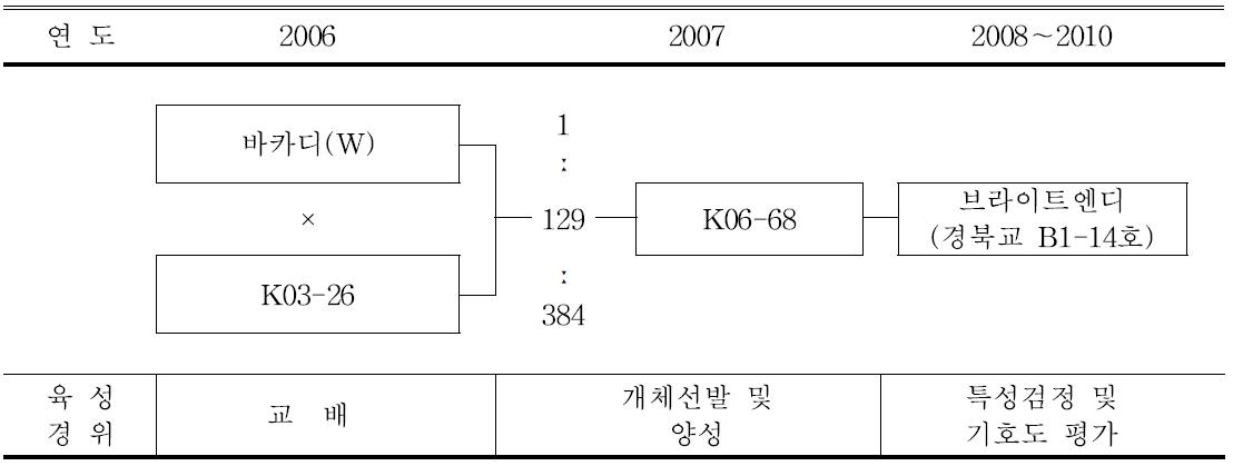 ‘브라이트엔디’ 품종의 육성과정