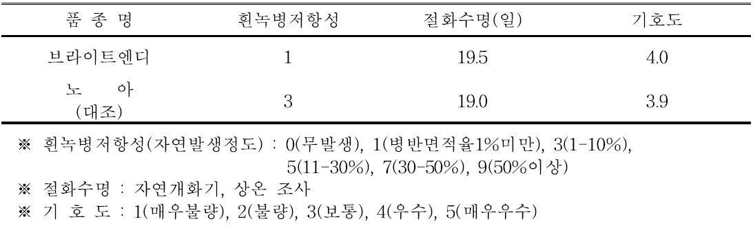 ‘브라이트엔디’ 품종의 흰녹병 저항성, 절화수명 및 기호도