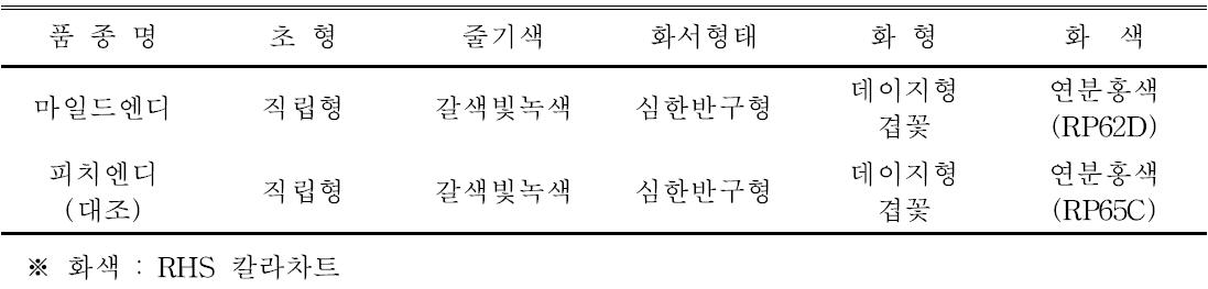 ‘마일드엔디’ 품종의 고유특성