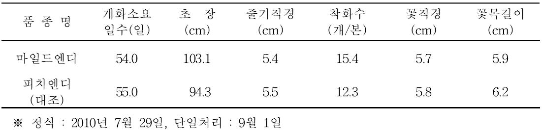 ‘마일드엔디’ 품종의 자연재배 특성