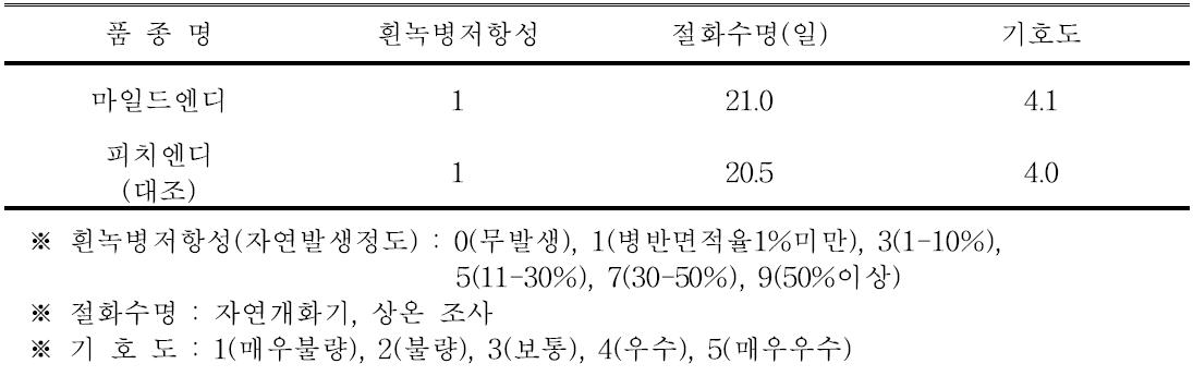 ‘마일드엔디’ 품종의 흰녹병 저항성, 절화수명 및 기호도