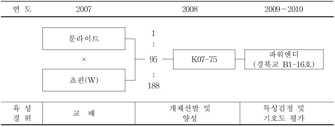 ‘파워엔디’ 품종의 육성과정