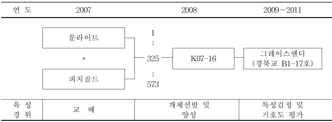 ‘그레이스엔디’ 품종의 육성과정