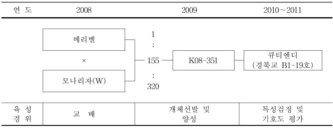 ‘큐티엔디’ 품종의 육성과정