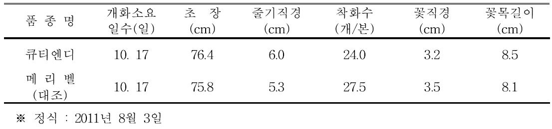 ‘큐티엔디’ 품종의 자연일장재배 특성