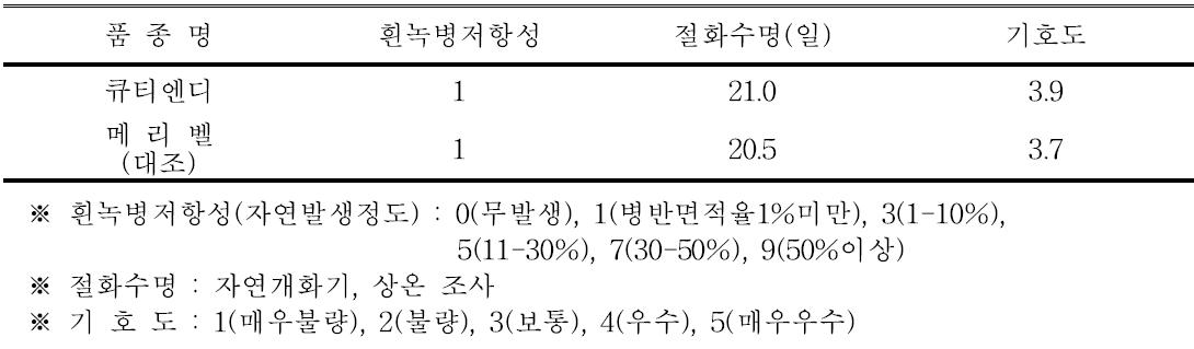 ‘큐티엔디’ 품종의 흰녹병 저항성, 절화수명 및 기호도