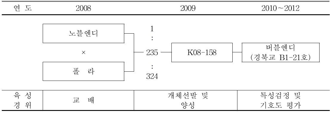 ‘버블엔디’ 품종의 육성과정