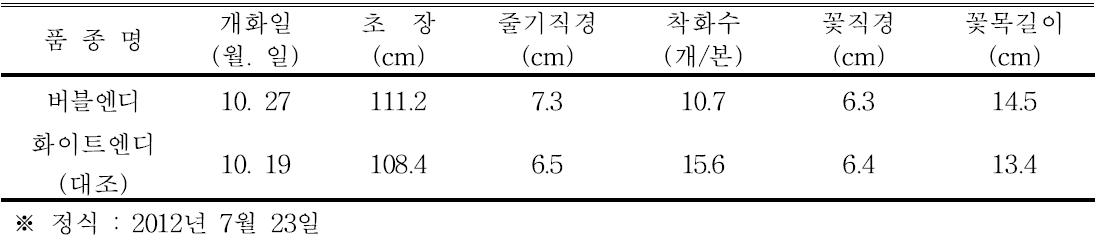 ‘버블엔디’ 품종의 자연일장재배 특성