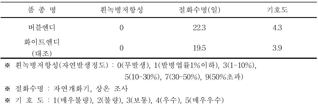 ‘버블엔디’ 품종의 흰녹병 저항성, 절화수명 및 기호도