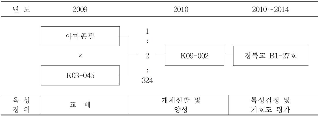 ‘클리어엔디’ 품종의 육성과정