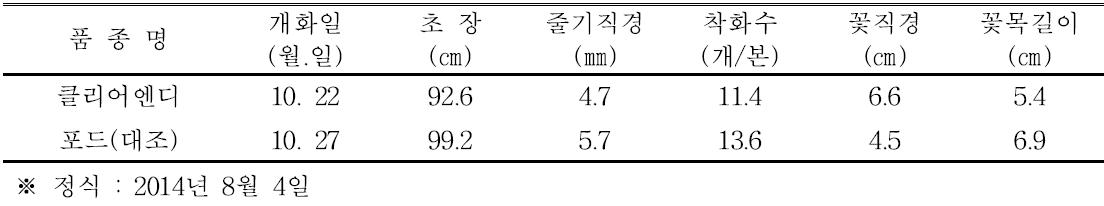 ‘클리어엔디’ 품종의 자연일장재배 특성