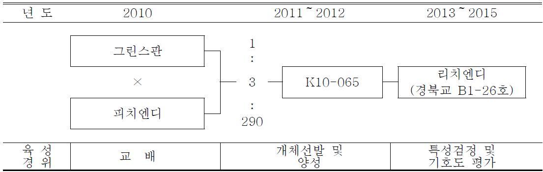 ‘리치엔디’ 품종의 육성과정