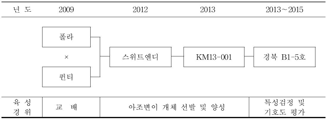 ‘팬시엔디’ 품종의 육성과정