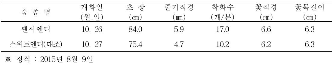 ‘팬시엔디’ 품종의 자연일장재배 특성