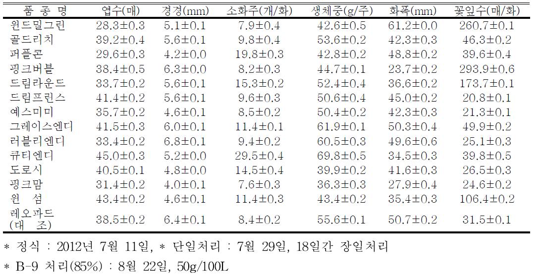 2011년 육성한 스프레이국화 신품종 시범재배 생육특성 조사