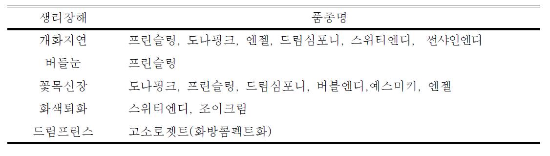 스프레이국화 2012년 육성 신품종의 고온기 생리장해