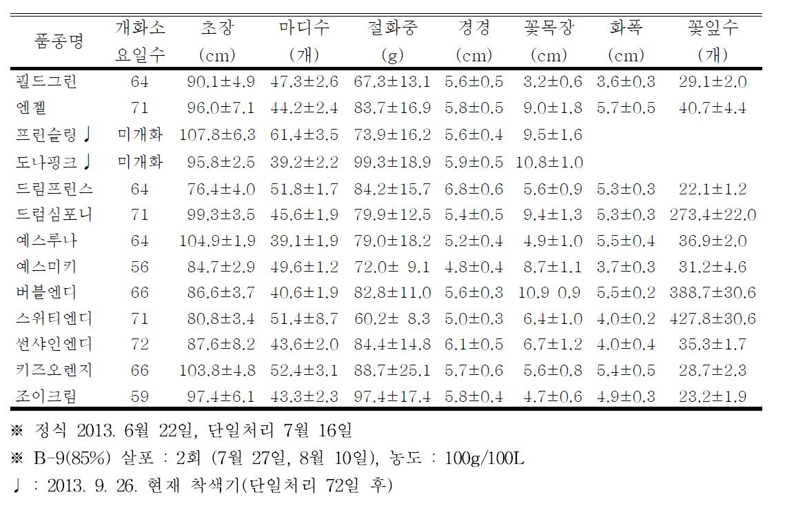 2011년 육성 스프레이국화 신품종 시범재배 생육특성 조사