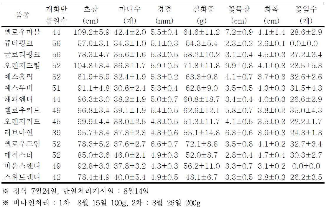 2013년도 육성 스프레이국화 신품종 시범재배 생육특성