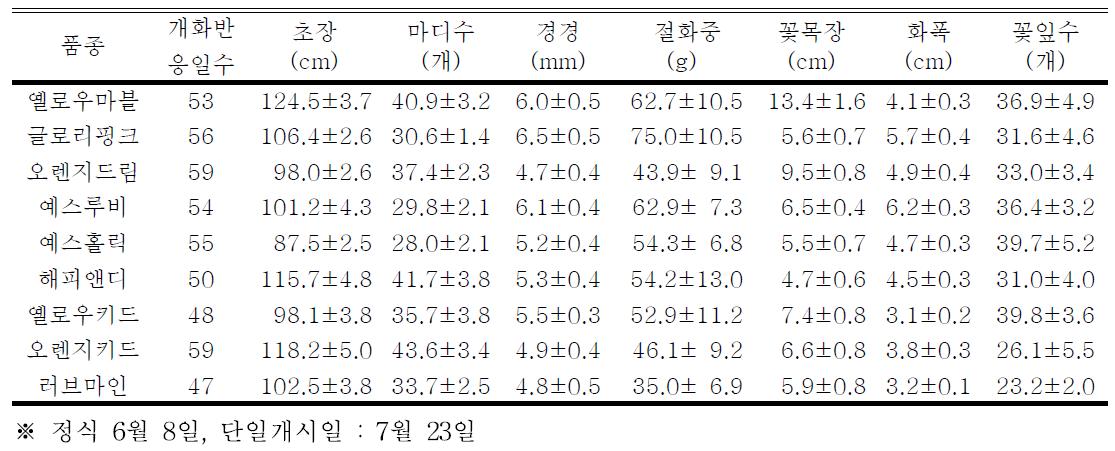 ’13년도 개발 스프레이국화 신품종 시범재배 생육특성