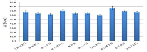 스프레이 국화 국산품종 초장(7.10)