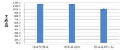 여수 스프레이 국화 국산품종 절화장