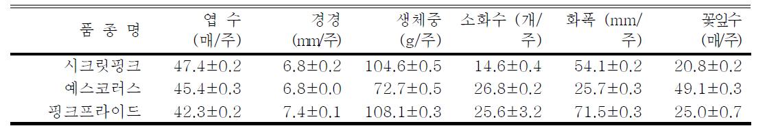 여수 스프레이 국화 국산 품종의 절화조사