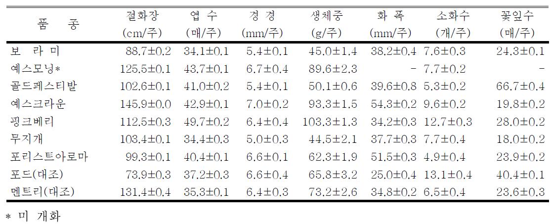 금산 스프레이 국화 국산 품종의 절화조사