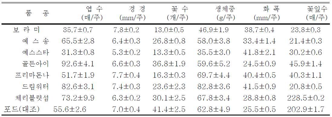 태안지역 스프레이 국화 생육조사