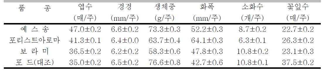 고창지역 스프레이 국화 생육조사