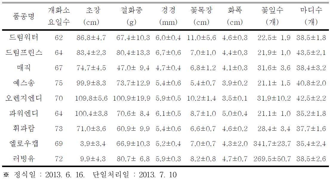 파주지역의 국산 스프레이국화 개화기 생육특성(여름재배)