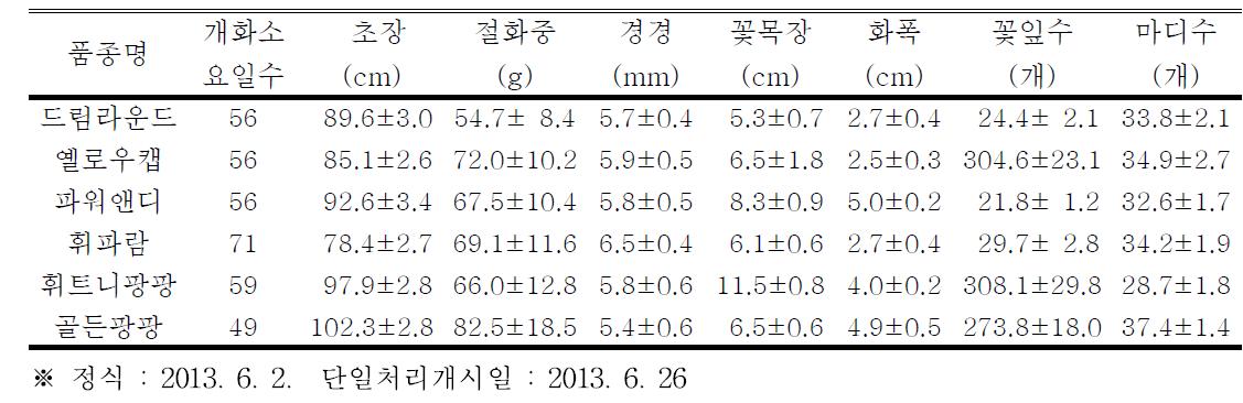 태안지역의 스프레이 국화 품종의 여름철 재배시 개화기 생육특성