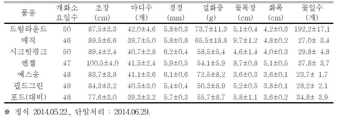 태안지역의 개화기 생육특성 (1차 재배)