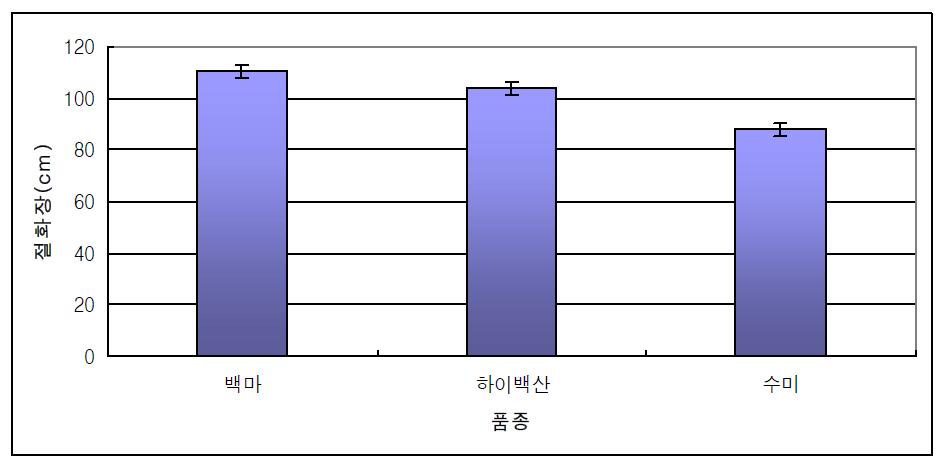 충남지역 시범재배 ‘백마‘. ‘하이백산’, ‘수미’ 품종의 절화장(2013)