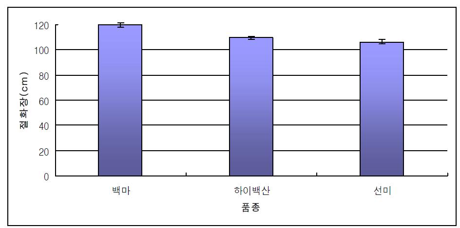 경남(창원)지역 시범재배 ‘백마‘, ‘하이백산’, ‘선미’의 절화장(2013)