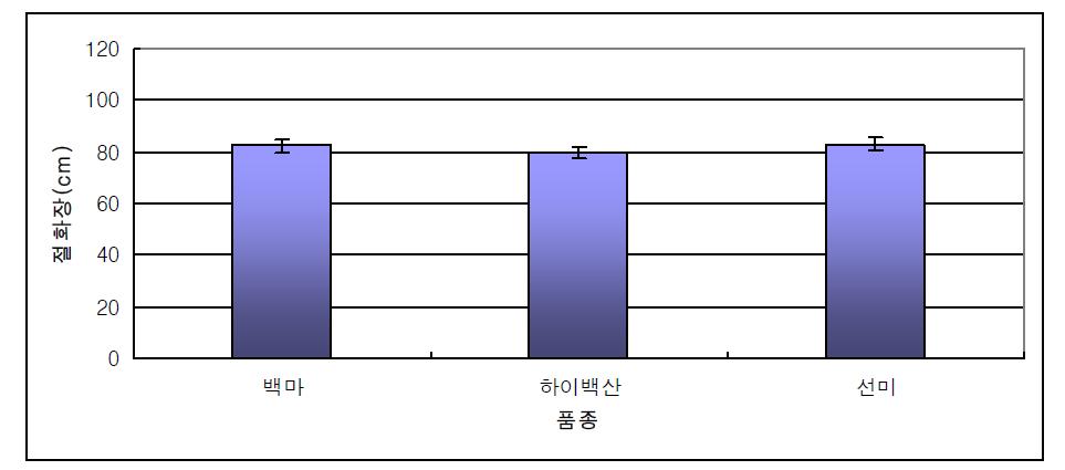 전북지역 하계재배 ‘백마‘ 선미’ ‘하이백산’의 절화장(2013)