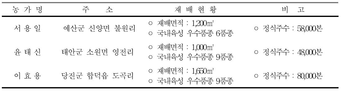 농가별 스프레이국 시범재배 현황