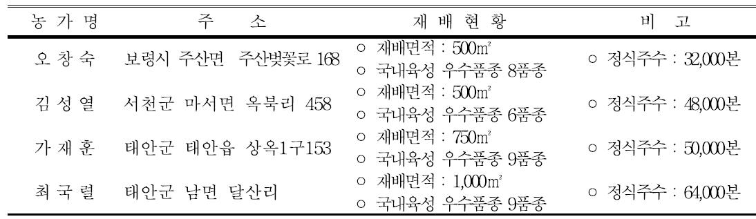 농가별 스프레이국 시범재배 현황