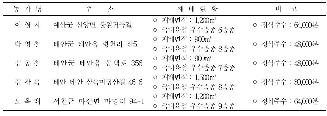 농가별 스프레이국 시범재배 현황