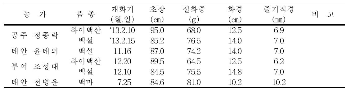 2012년 스탠다드국화 생육 및 개화특성