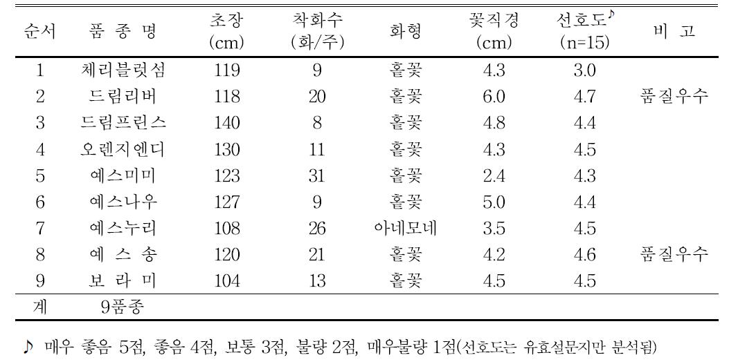 2013년 스프레이국화 생육 및 개화특성(서산 정종우농가)