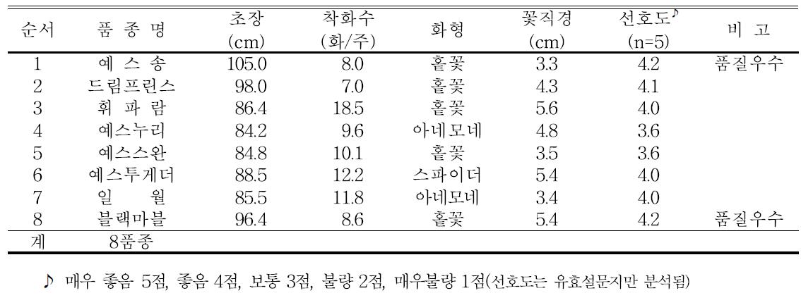 2013년 스프레이국화 생육 및 개화특성(당진 이순구농가)