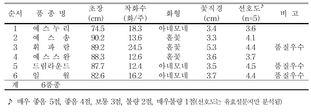 2013년 스프레이국화 품종별 생육 및 개화특성(태안 박기환농가)