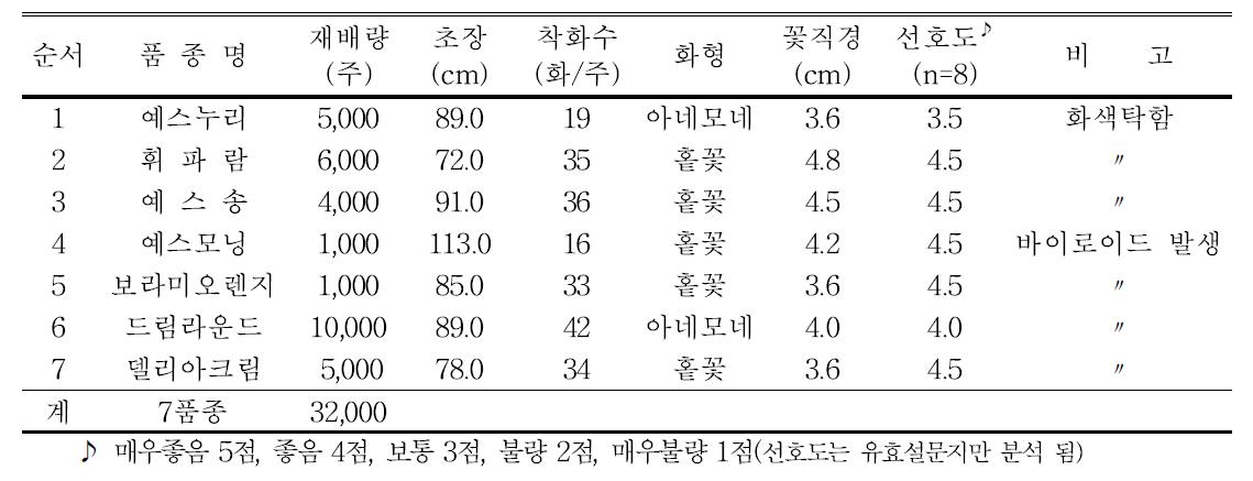 2014년 스프레이국화 생육 및 개화특성(보령 주산 오창석농가)