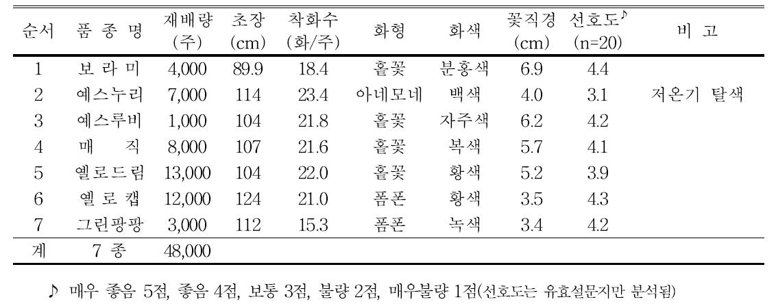 2015년 스프레이국화 생육 및 개화특성(태안 김동철농가)