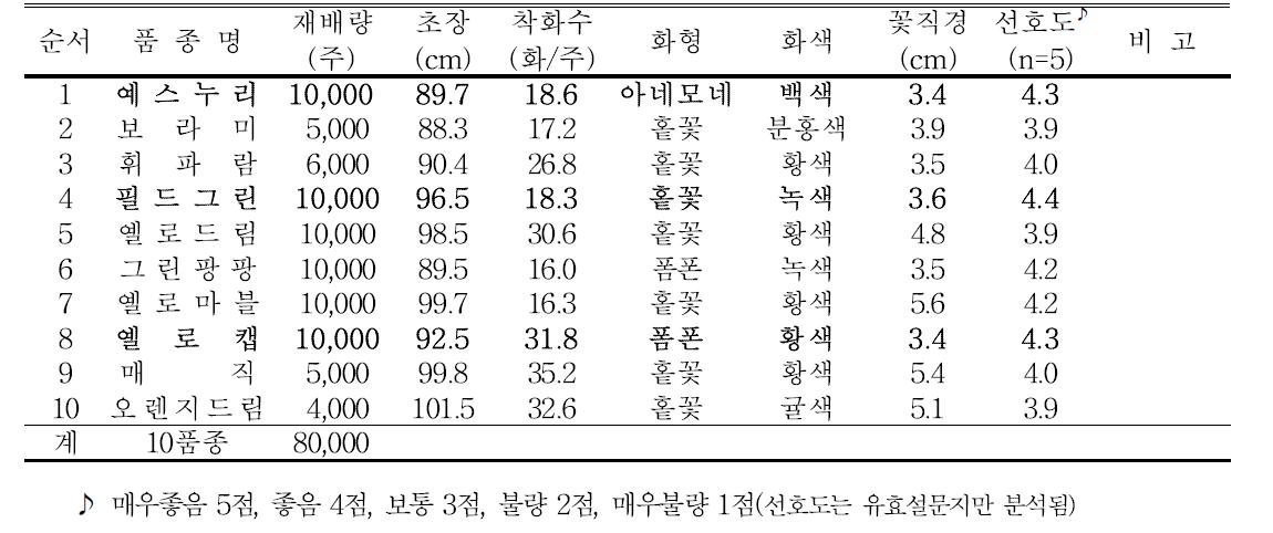 스프레이국화 품종별 생육 및 개화특성(태안군 김광옥농가)