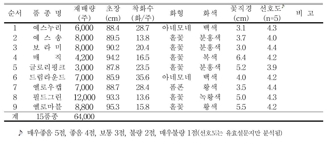 스프레이국화 품종별 생육 및 개화특성(서천군 노옥래농가)