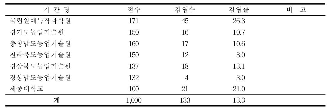 2013년 국화왜화바이로이드 검정 결과