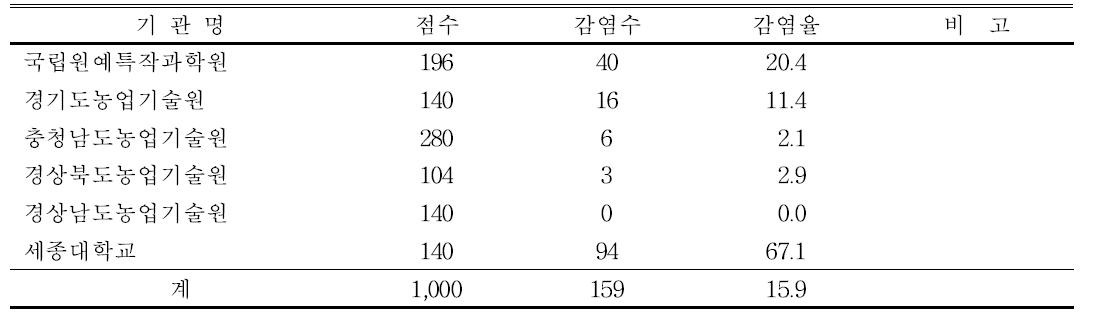 2015년 국화왜화바이로이드 검정 결과